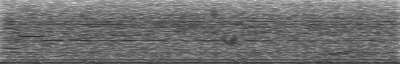 [Loading Spectrogram]