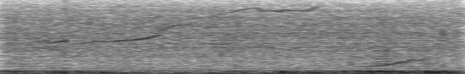 [Loading Spectrogram]