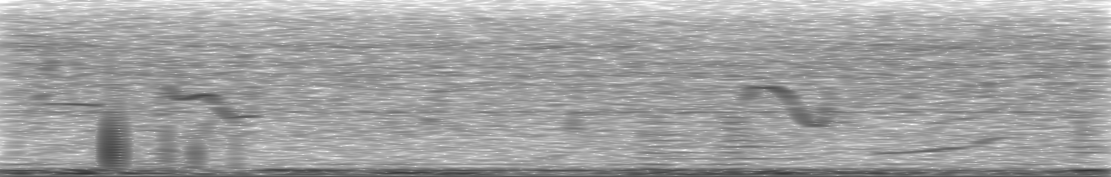 [Loading Spectrogram]