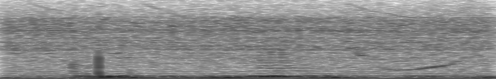 [Loading Spectrogram]