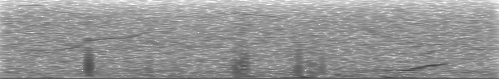 [Loading Spectrogram]