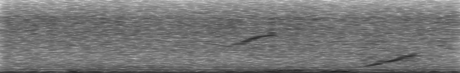 [Loading Spectrogram]