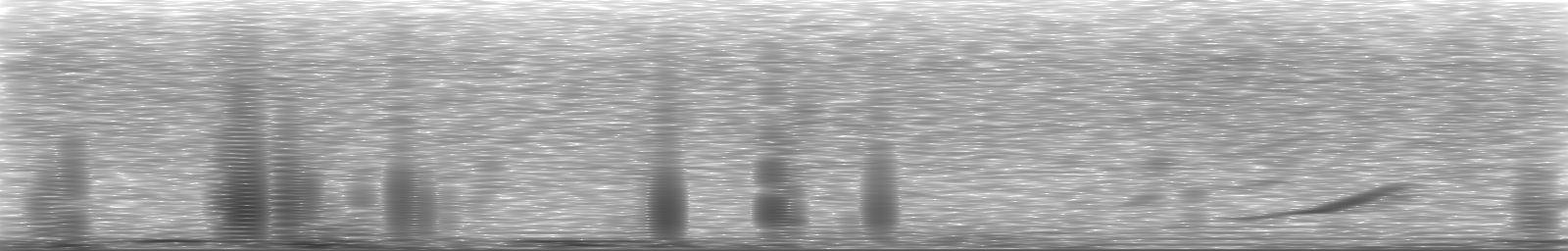 [Loading Spectrogram]