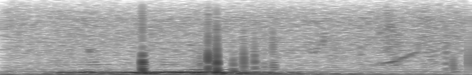 [Loading Spectrogram]