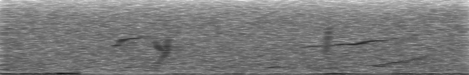 [Loading Spectrogram]