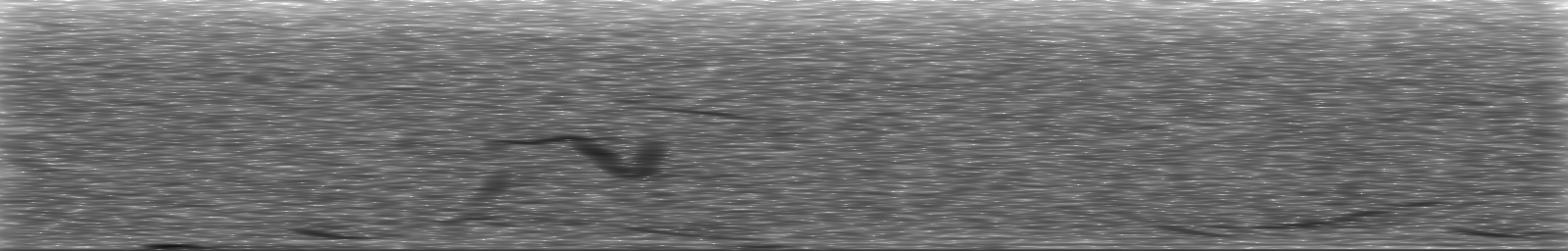 [Loading Spectrogram]