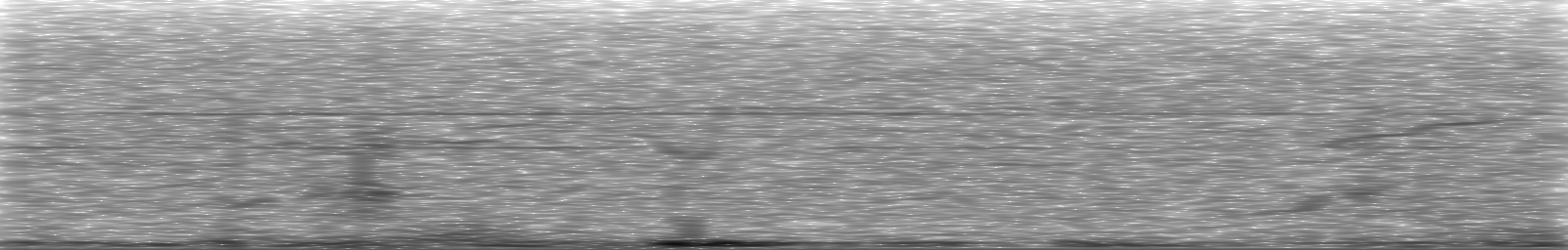 [Loading Spectrogram]