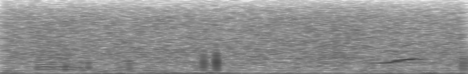 [Loading Spectrogram]