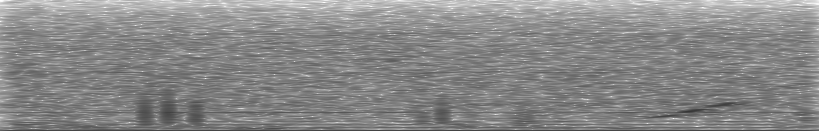 [Loading Spectrogram]