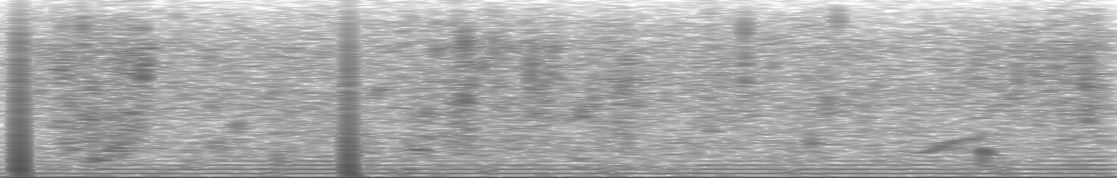 [Loading Spectrogram]