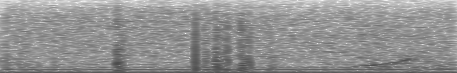 [Loading Spectrogram]
