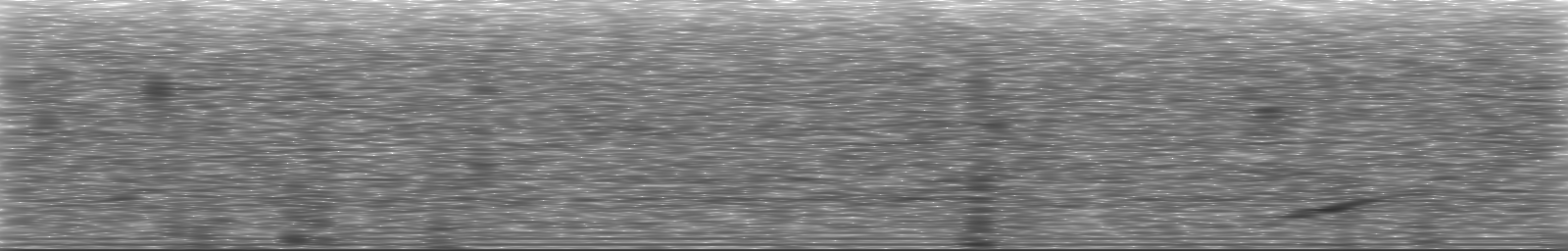 [Loading Spectrogram]