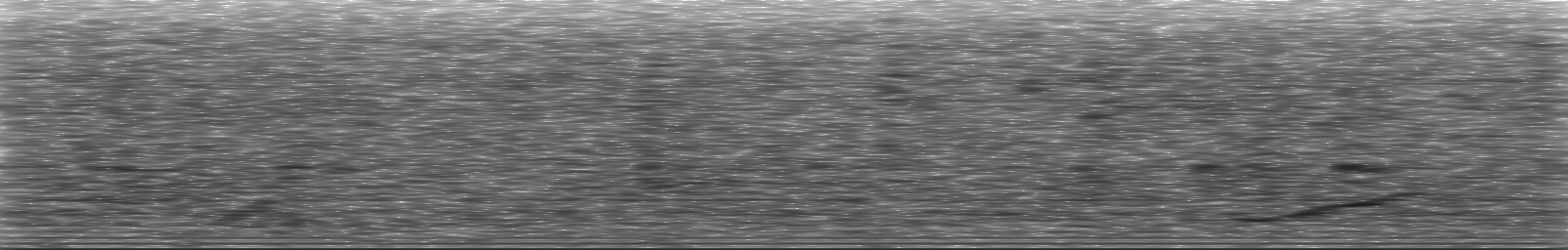 [Loading Spectrogram]