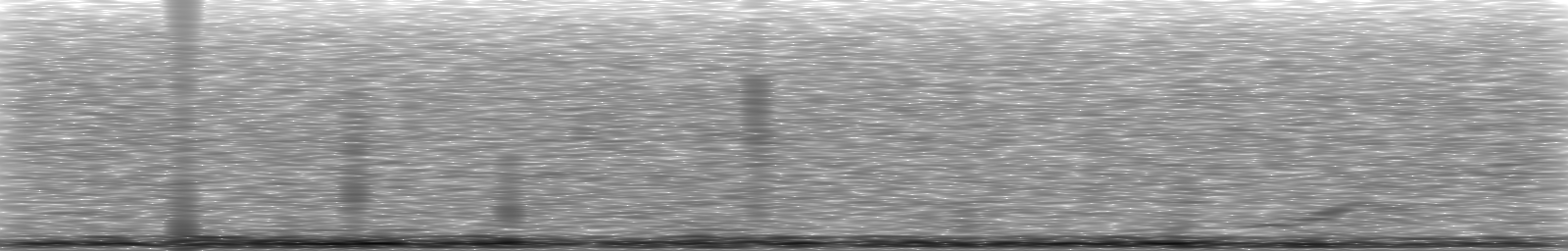 [Loading Spectrogram]