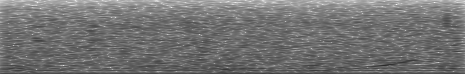 [Loading Spectrogram]