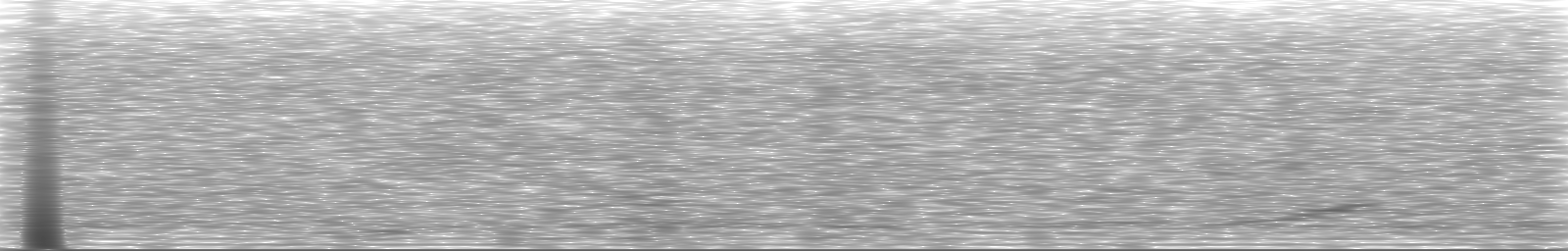 [Loading Spectrogram]