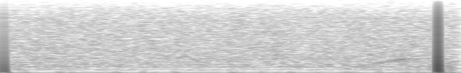 [Loading Spectrogram]