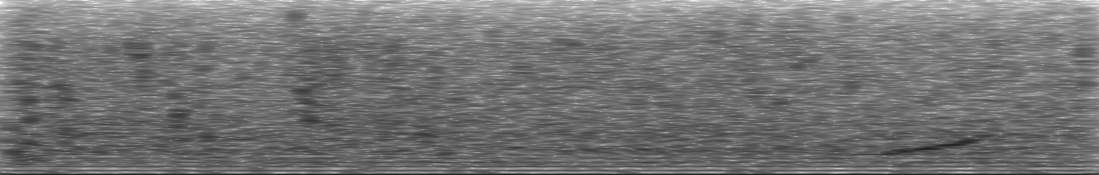 [Loading Spectrogram]