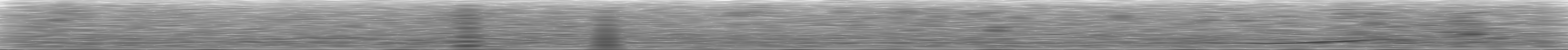 [Loading Spectrogram]