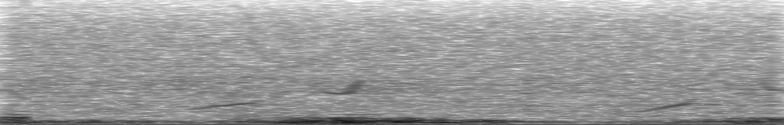 [Loading Spectrogram]