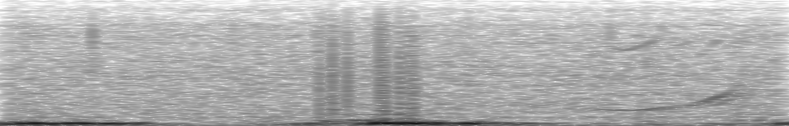 [Loading Spectrogram]