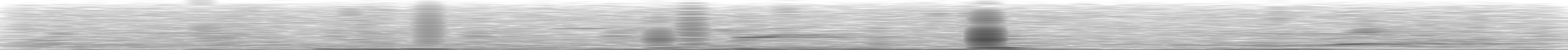 [Loading Spectrogram]